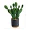 10'' Cactus Succulent Artificial Plant in Planter